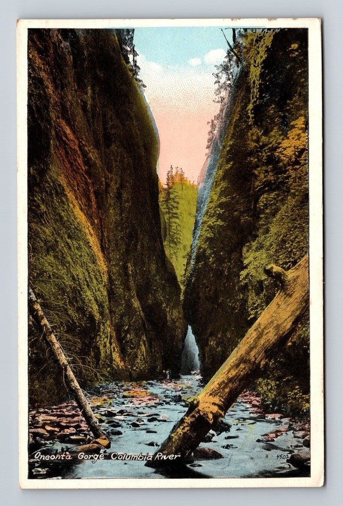 Vintage Portland Oregon postcard featuring Oneonta Gorge and Columbia River  