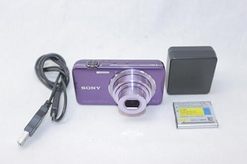 SONY Digital Camera Cyber-Shot WX30 Violet DSC-WX30/V　Japanese