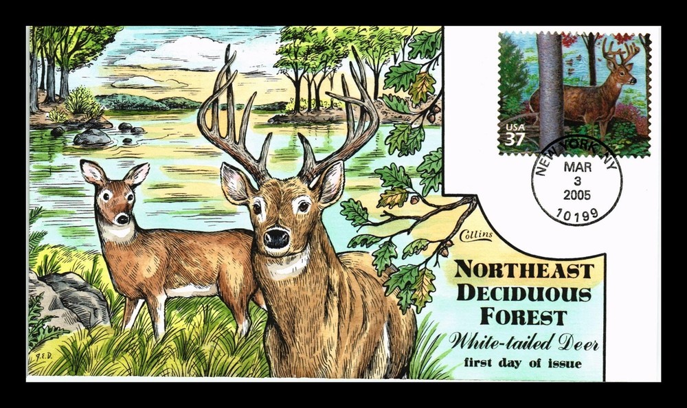 DR JIM STAMPS US COVER DEER NORTHEAST DECIDUOUS FOREST FDC COLLINS HAND PAINTED