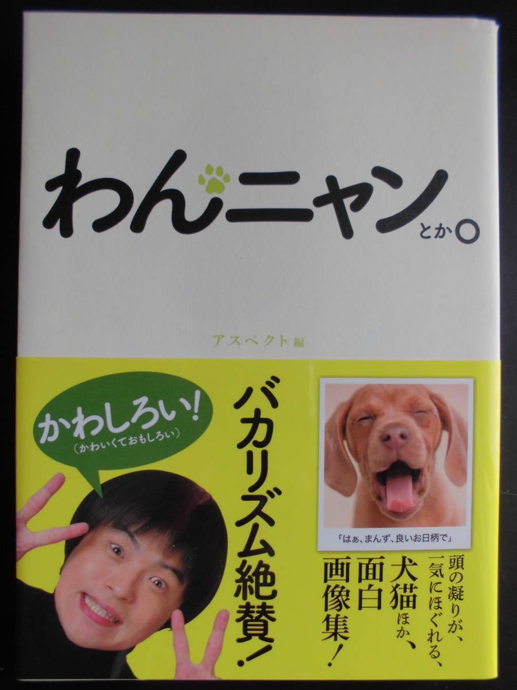 Aspect (editor) Wannyan or something. First Edition (Rare) 2012 Edition