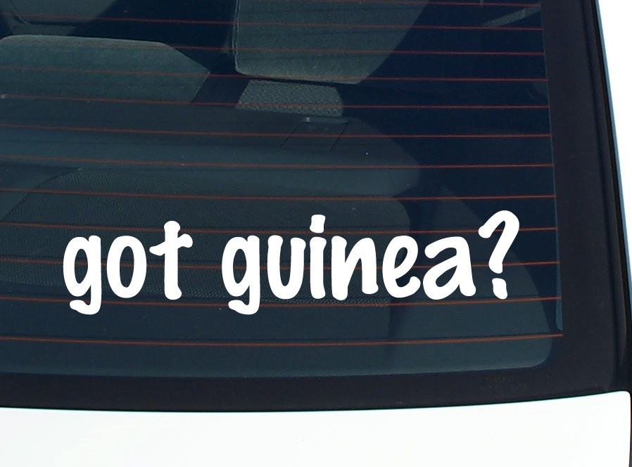 Got Guinea Funny Car Decal Bumper Sticker Vinyl Window Joke