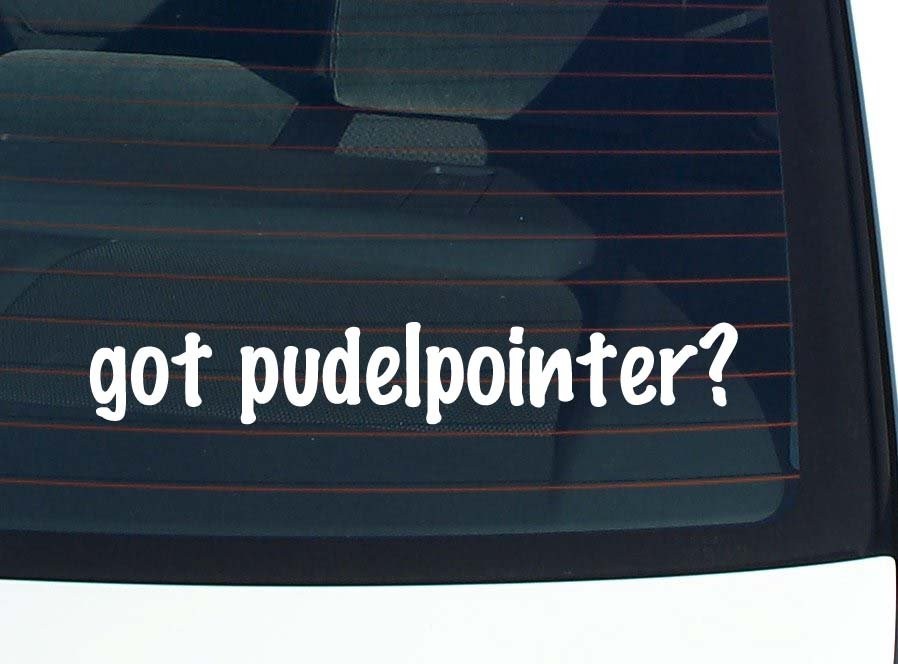 Got a Pudelpointer Funny Car Decal Bumper Sticker Vinyl Window Joke