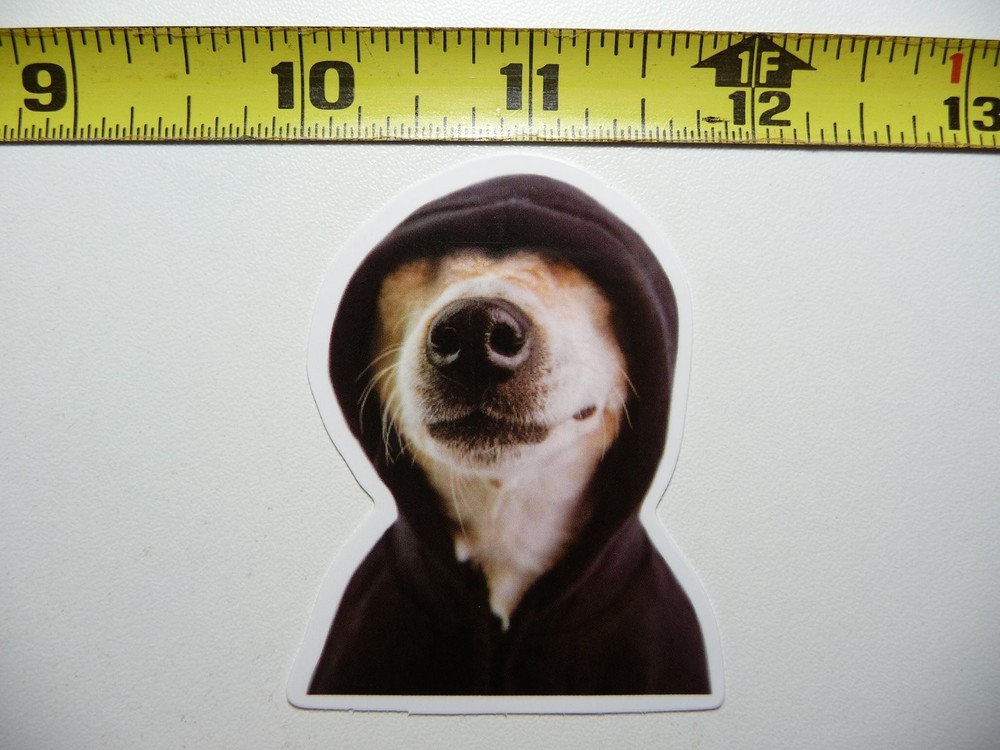 COOL HOODIE FUNNY STICKER DECAL CUT PET DOG PUPPY FUN