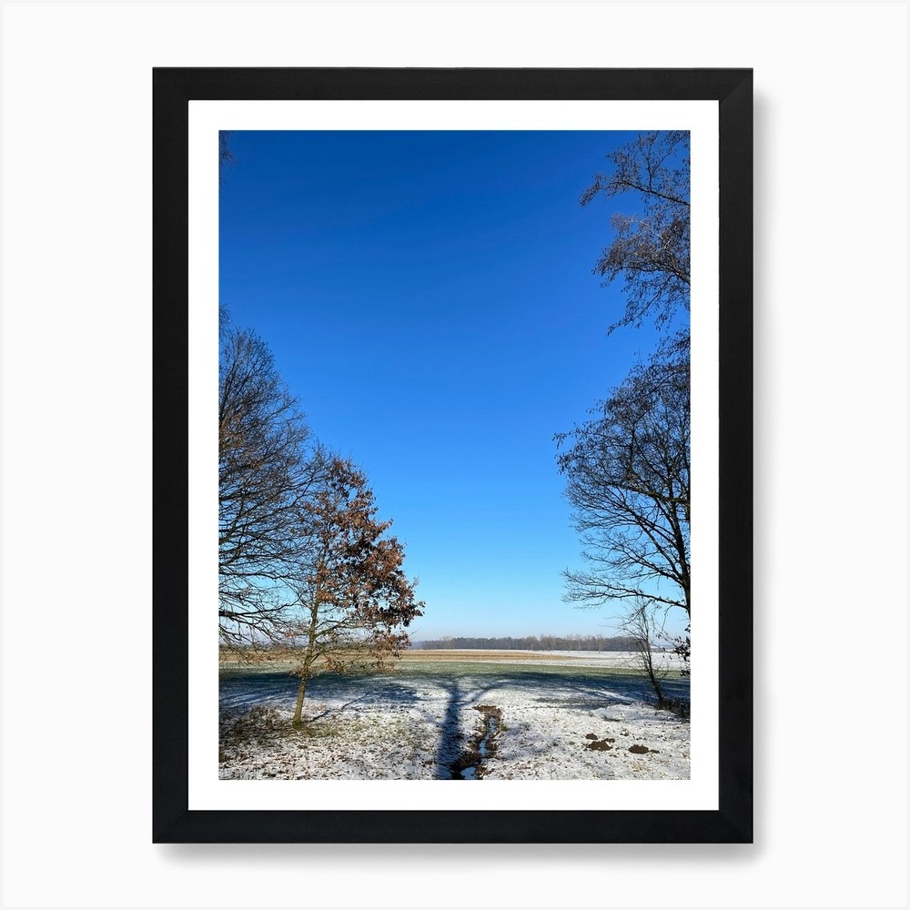Snowy Field With Trees Framed Art Print Canvas Wall Decor
