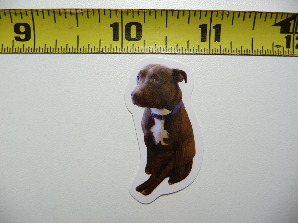 Playful Pitbull Dog Sticker Decal - Small Fun Pet Design AX163
