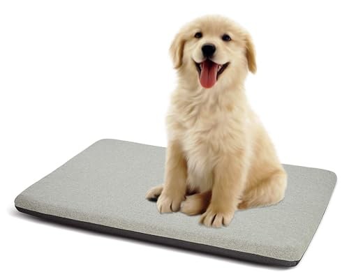 Orthopedic Dog Bed for Medium Dogs 29x18x2 Grey with Zipper