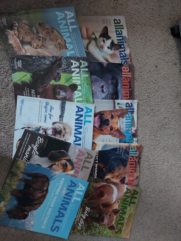 10 ALL ANIMALS MAGAZINE Lot may-aug 2016, jan-apr 2017, summer 21, 3 from 22,