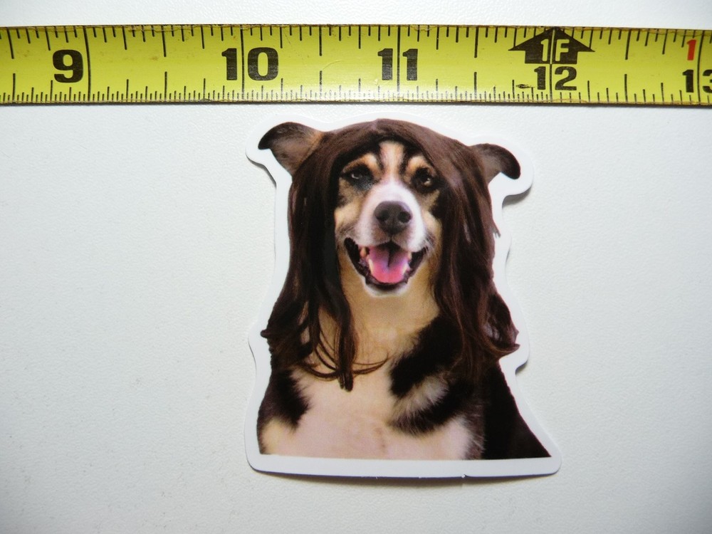 Funny long hair wig sticker for pets and dogs
