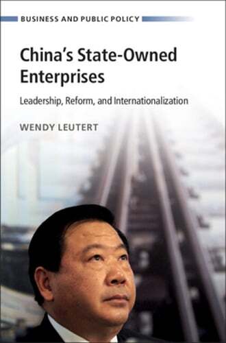 China's State-Owned Enterprises by Wendy Leutert: New