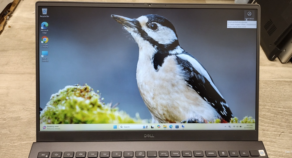 Cheap! Dell Vostro 5502 FHD 15.6