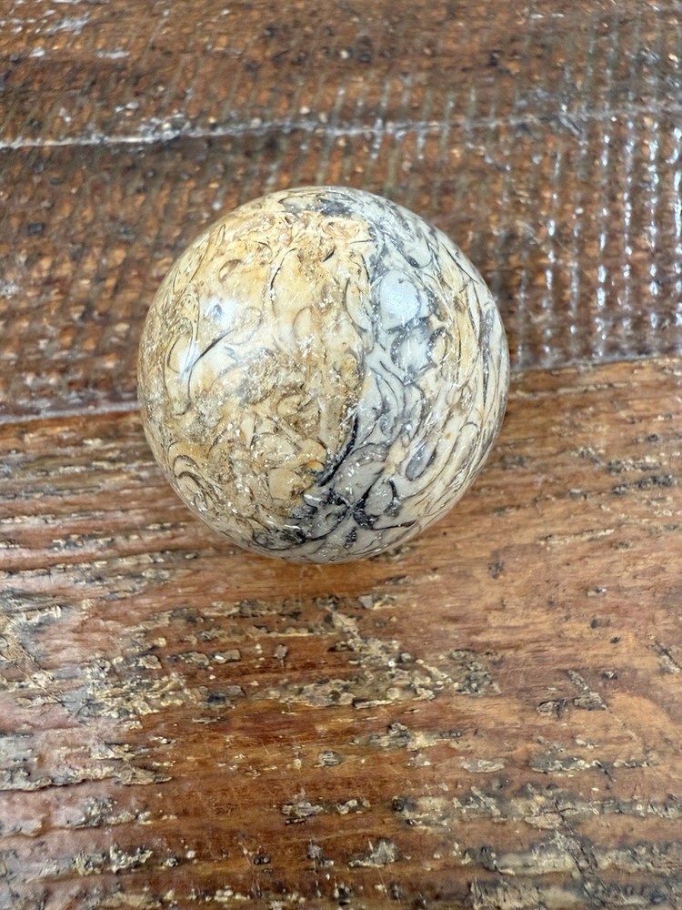 Natural Fossil Stone Sphere Healing Crystal Gemstone