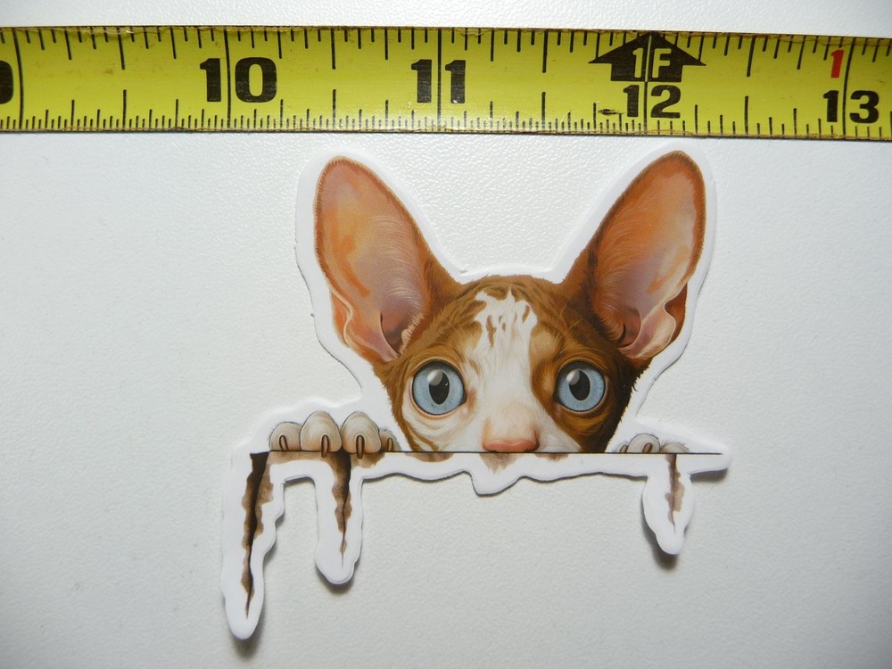 Cute Peeking Cornish Rex Kitten Sticker Decal for Pet Lovers