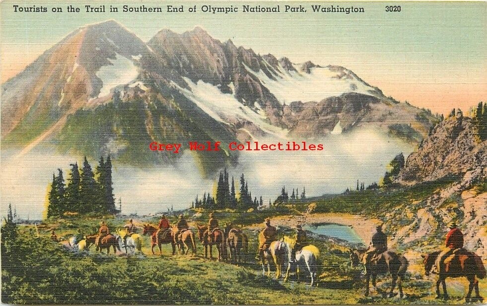 WA, Olympic National Park, Washington, Tourist on the Trail, Tichnor