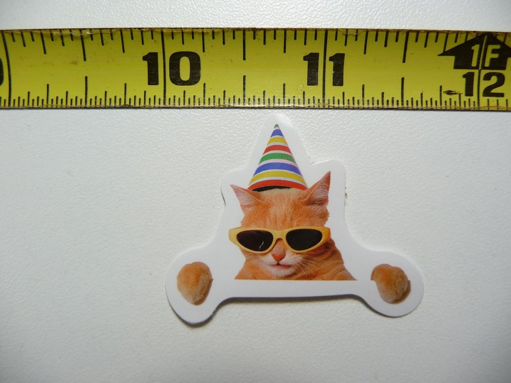 FUNNY CAT KITTEN STICKER DECAL PARTY TIME CUTE PET FELINE