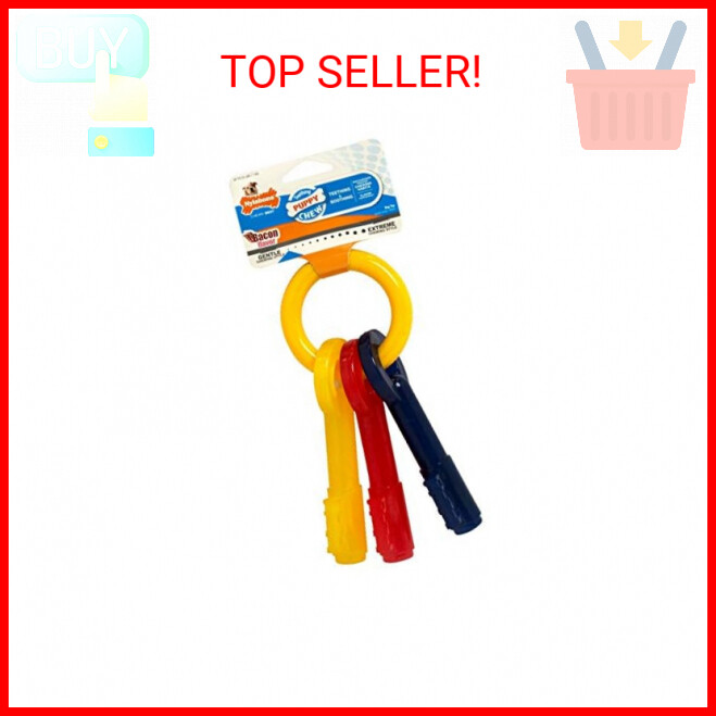 Nylabone Puppy Chew Keys Toy - Puppy Chew Toys for Teething - Puppy Supplies - B