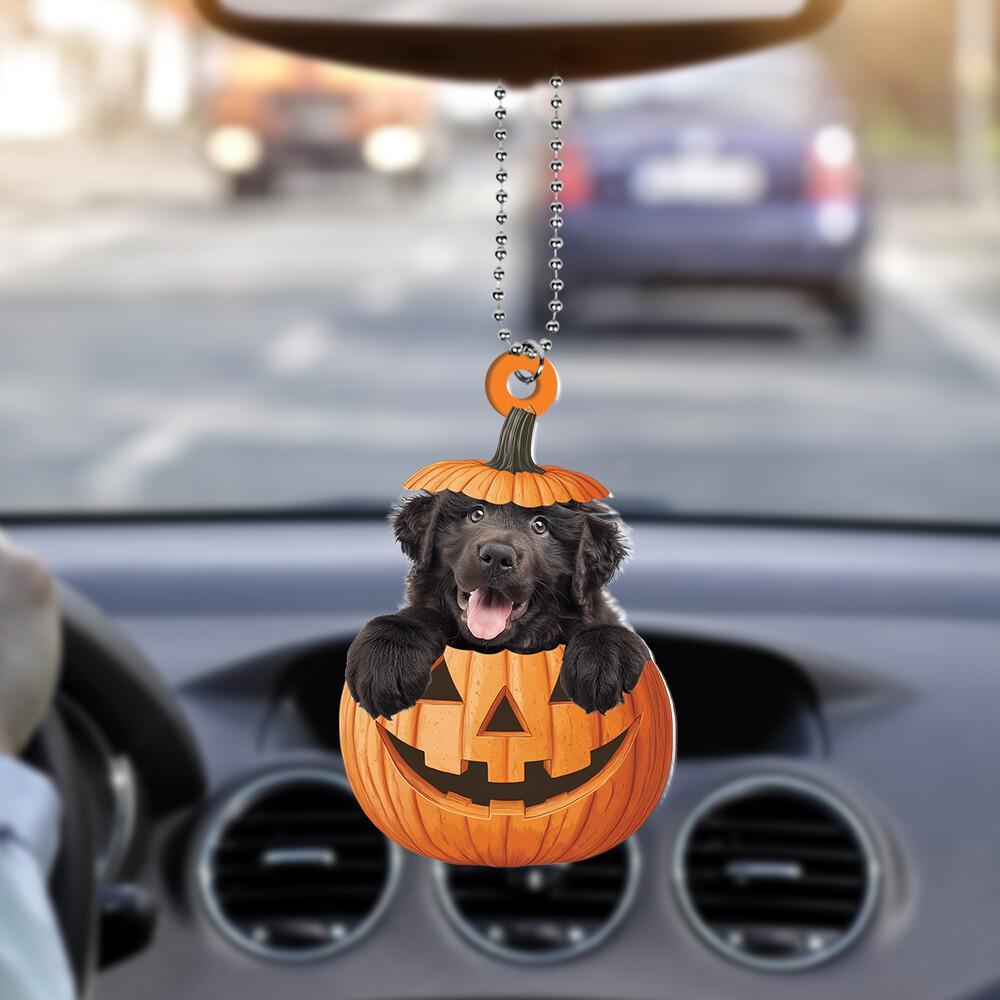 Newfoundland Dog Jack-o-lantern Halloween Ornament  Dog Pumpkin Christmas Gift