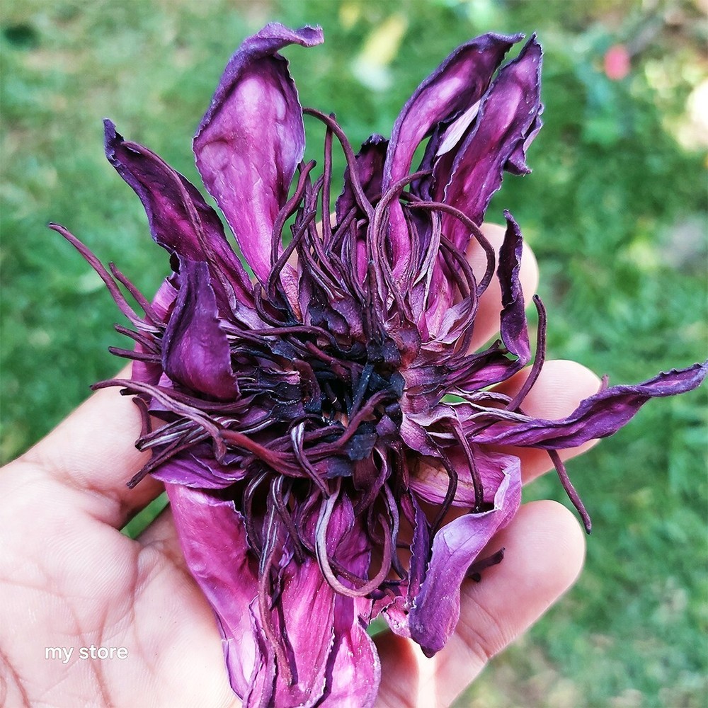 Dried Blue Red Lotus Flower 100% Organic Natural Nelumbo Nucifera Herbal Tea 1lb