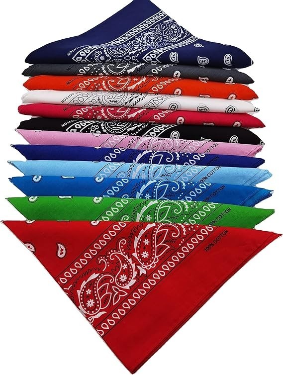 12 Pack Assorted Colors Cotton Paisley Bandanas for Men & Women