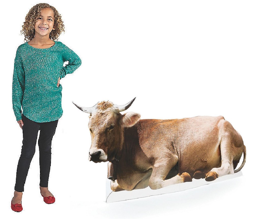 Foto realista dirección cartón belén exhibición juego utilería 5 pies L #141