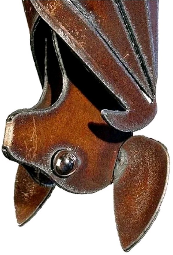 Large 14