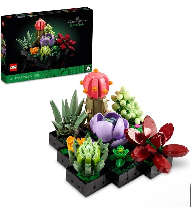 LEGO Botanicals Succulents Building Kit for Home Decor