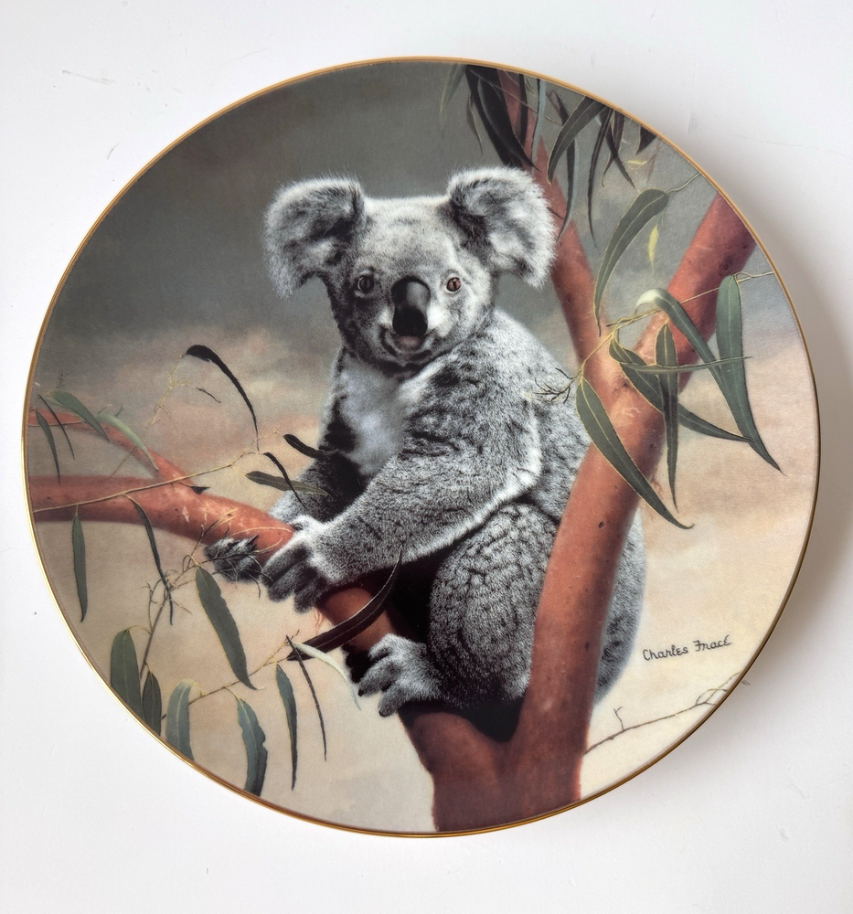 Knowles The Koala Plate Charles Fracé Nature’s Lovables 1990 Wildlife Bradex 84-