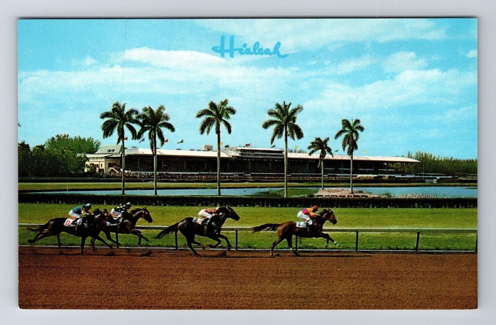 Miami FL-Florida, Thrilling Race At Hialeah Racecourse, Vintage Postcard