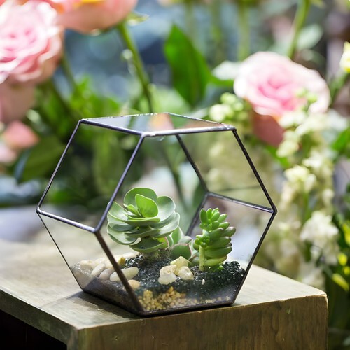 8-Inch Modern Geometric Glass Terrarium for Plants