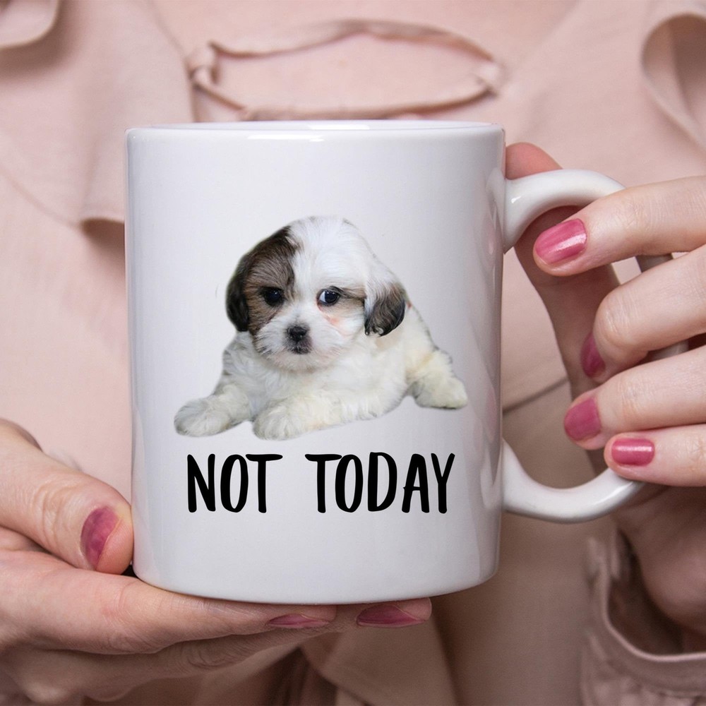 Funny Zuchon White Brown Not Today Dog Mug Lazy Gift For Women Dogs Mom Coffee