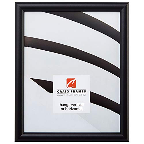 FW2BK1824AAC 0.765-Inch Smooth Finish Picture Frame 18×24 Inches for Posters