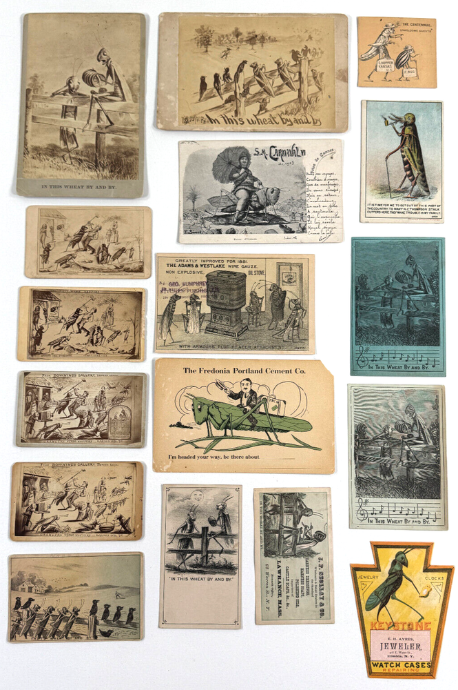 HUGE Antique Grasshopper CDV Exaggeration Cabinet Photo LOT (x17)