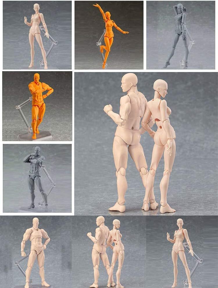 Figma She/he S.H.Figuarts Chan KUN BODY SET PVC Action Figure Model For Drawing