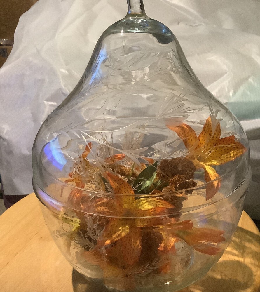 Vintage MCM Large Etched Glass Terrarium for Dried Flowers Mid-Century Display