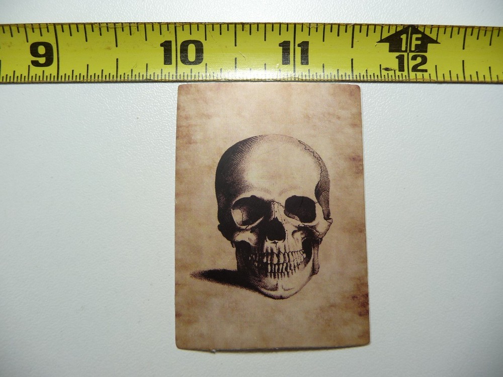 ANATOMY PHYSIOLOGY SKULL DECAL STICKER VINTAGE HUMAN GOTH ILLUSTRATION