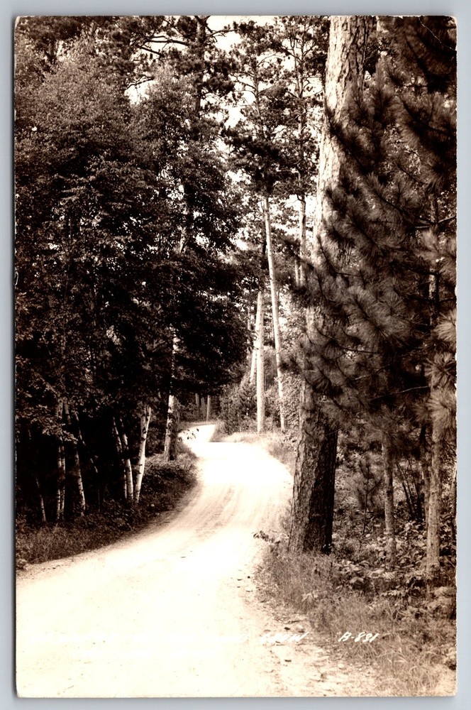 RPPC Up Where The Pines Grow Cass Lake MN C1940s Postcard Z5