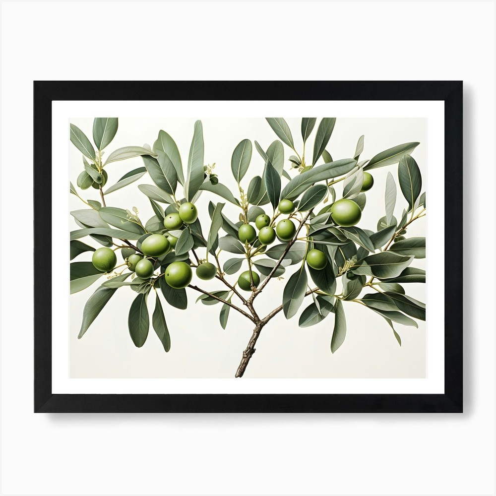 Olive Branch Framed Wall Art Print Canvas Nature Decor  