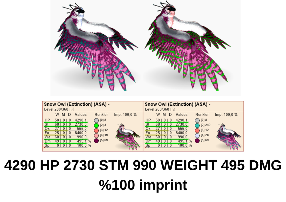 Snow Owl 495 DMG 990 WEIGHT 2730 STM 4290 HP Ark Survival Ascended Official PVE