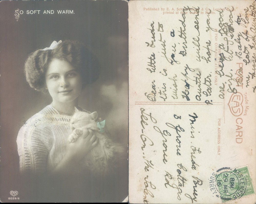 Girl holding cat EA Schwerdtfeger Co 1912 postmark Portrait Animal