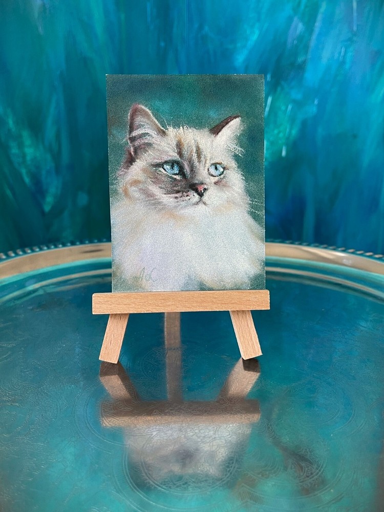 Original Pastel Siberian Cat Drawing in ACEO Art Format