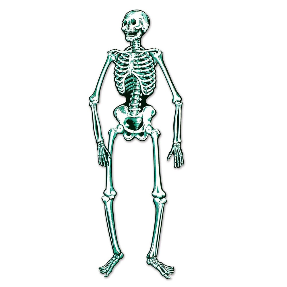 Beistle Jointed Skeleton, 55 in - Halloween | Party Supply | Decoration