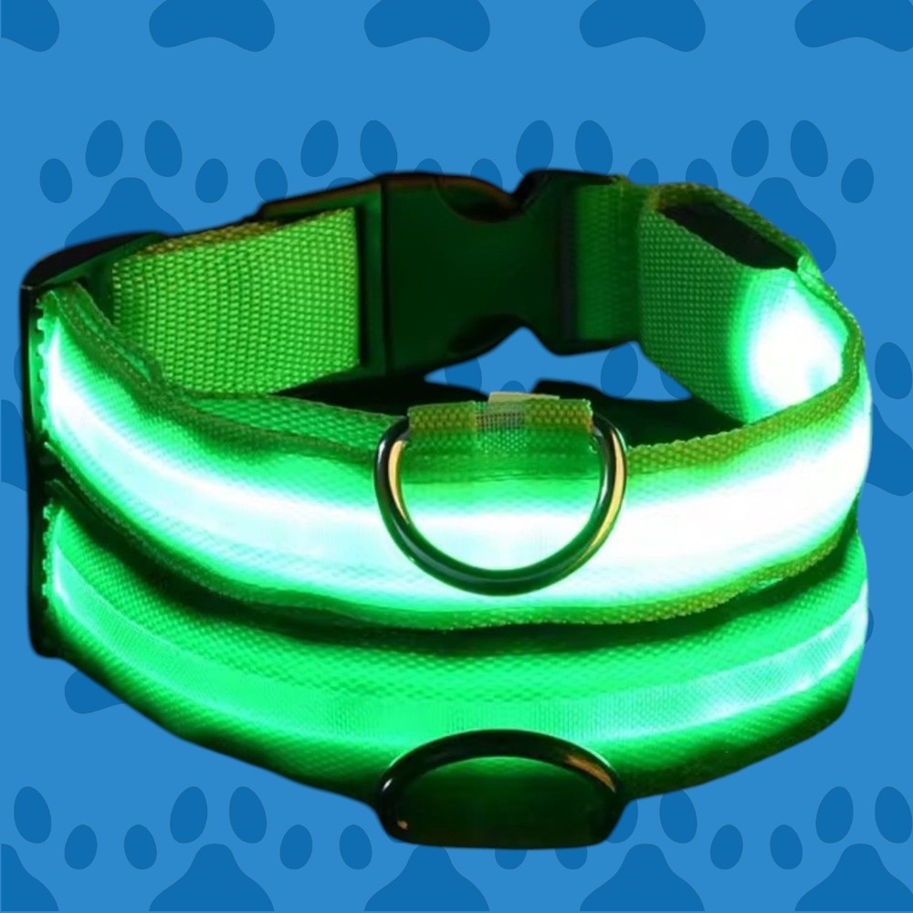 XL Dog Collar Nylon LED Night Safety Flashing Glow In The Dark Pet Dog Leash