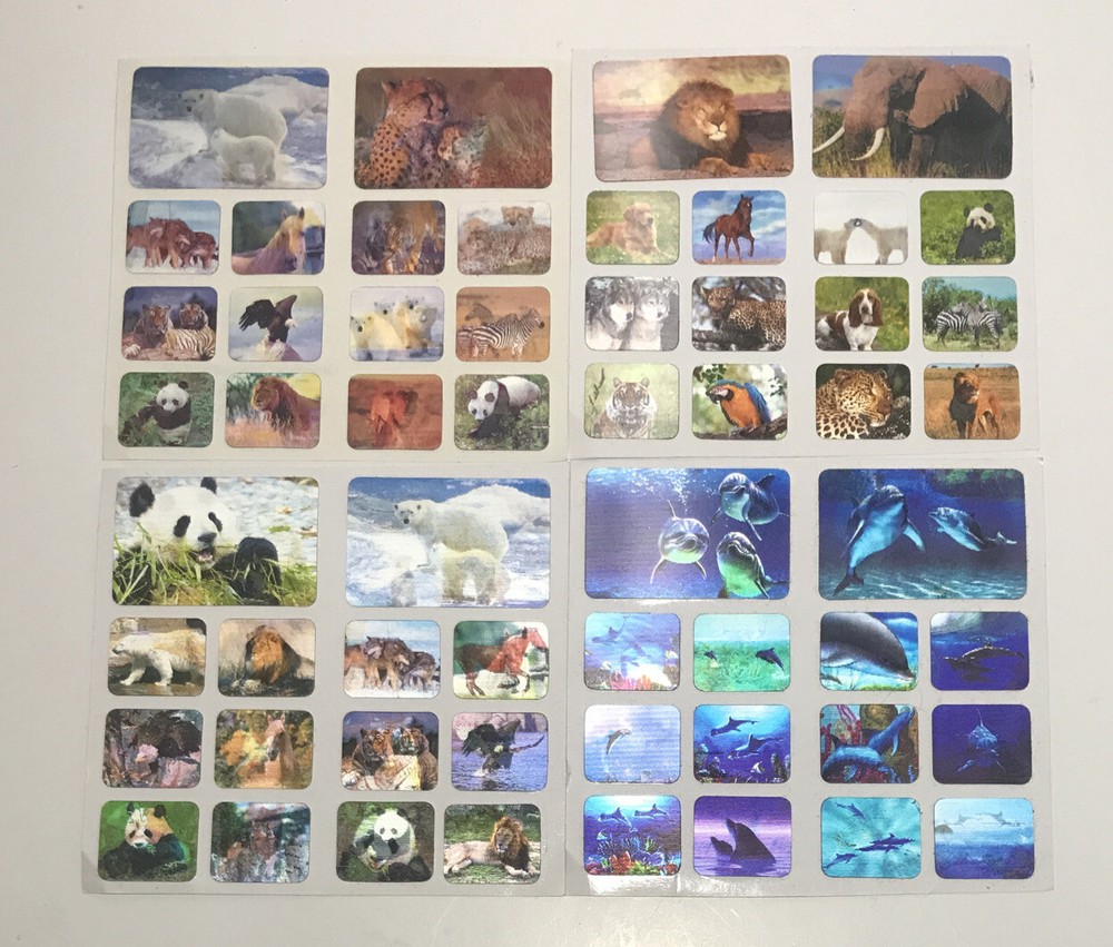 Animal Motion Stickers 4 Squares Dolphins Lions Polar Bears