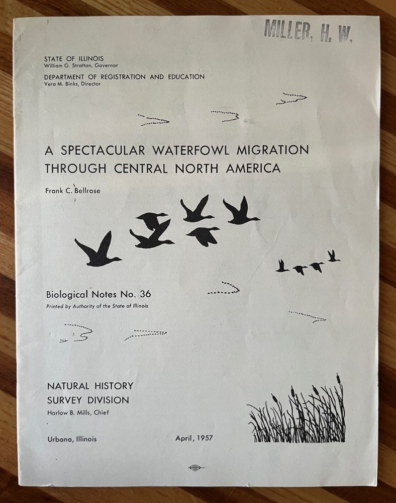 Explore the 1957 F Bellrose study on central North America's stunning waterfowl migration