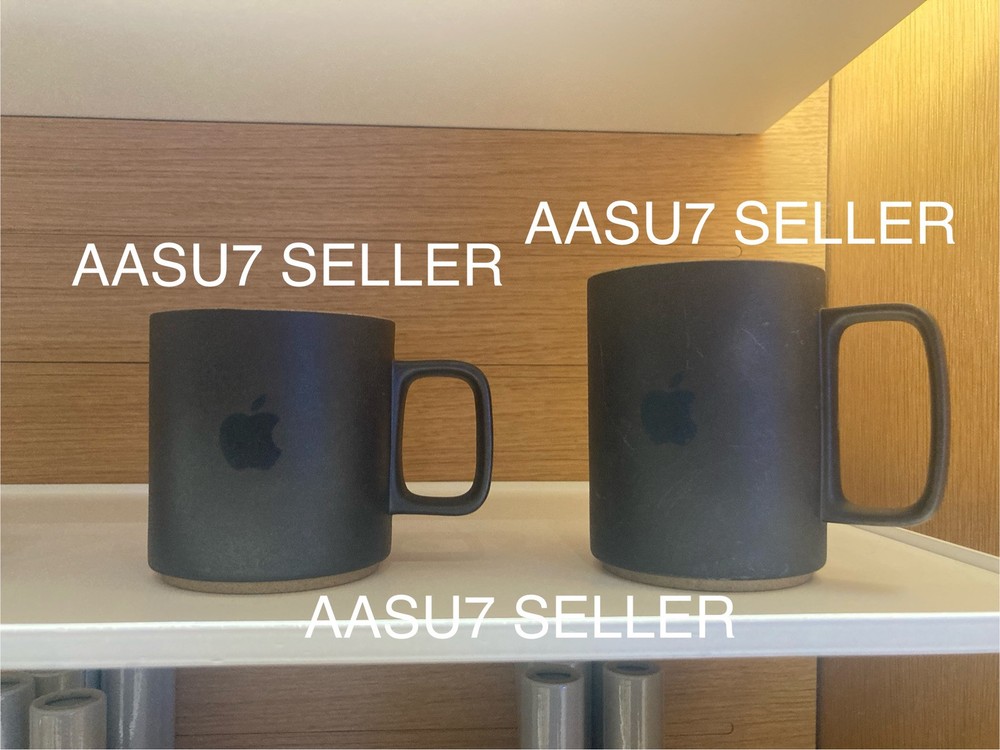 Brand New Official Apple Park Visitor Center Hasami Mug