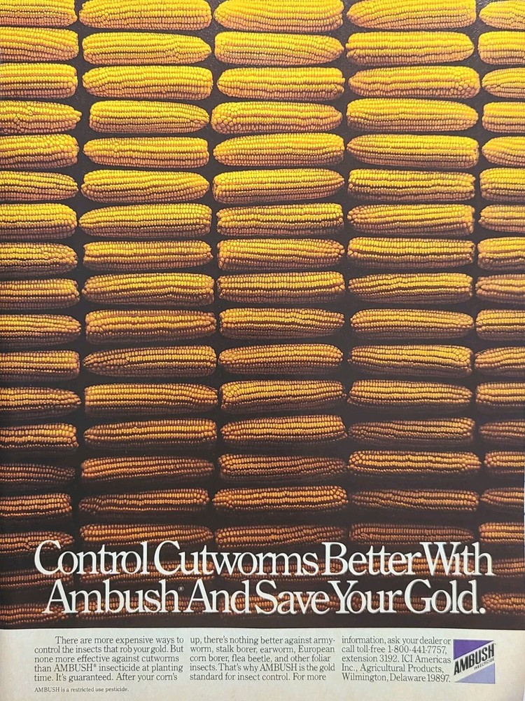 Ambush Insecticide Control Cutworms Save Gold Corn Ears Vintage Print Ad 1987