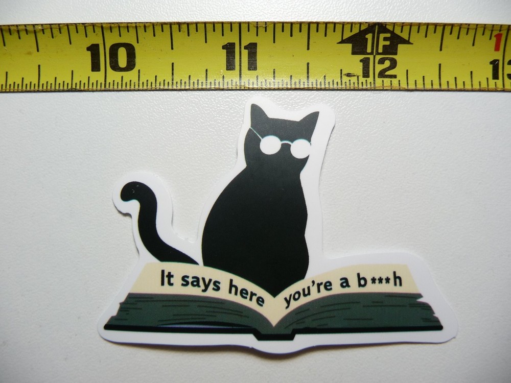 CAT DICTIONARY IT SAYS HERE YOU ARE A BIT** STICKER DECAL FUNNY SNARKY SARCASTIC