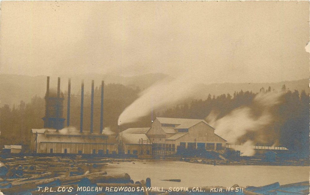 c1910 Scotia California Lumber Sawmill Humboldt occupation RPPC Postcard 25-6498