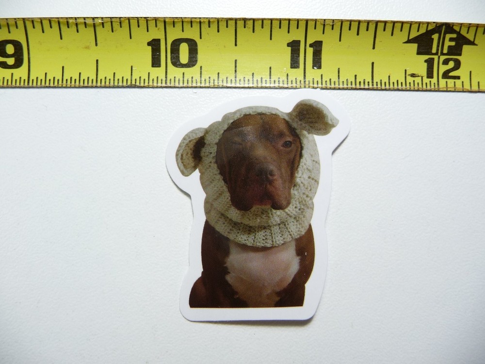 Fun Cold Weather Cute Dog Sticker Decal AX156 Small Pet Lover