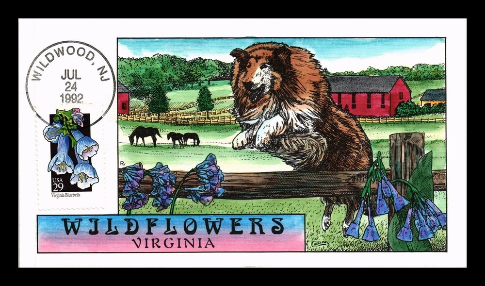 Dr Jim Stamps US Wildflowers Virginia FDC Collins Hand-Painted Collectible Cover