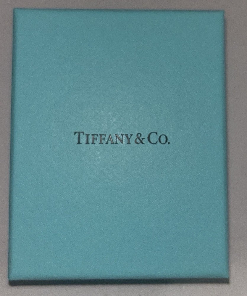 Tiffany & Co Small Empty Box Pouch and Paper Bag Set  